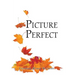 Picture Perfect