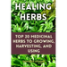 Healing Herbs: Top 20 Medicinal Herbs to Growing, Harvesting, and Using