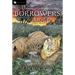 The Borrowers Afield
