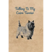 Talking To My Cairn Terrier