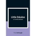 Little Oskaloo; or, The White Whirlwind