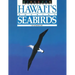 Discover Hawai'i's Soaring Seabirds