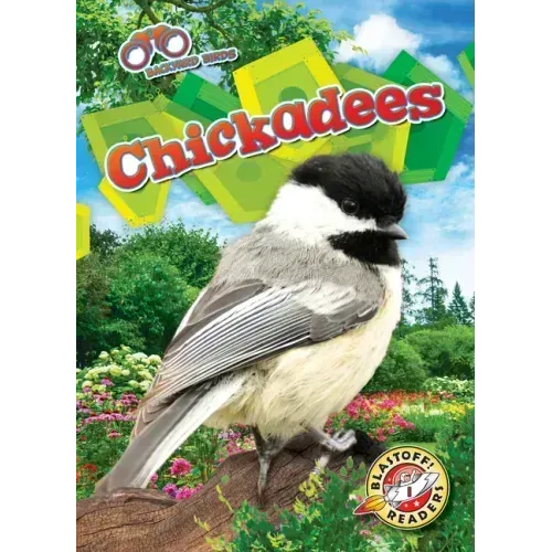 Chickadees