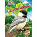 Chickadees