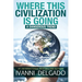 Where This Civilization is Going: A Dangerous Trend
