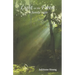 Light in the Forest: A Family Saga