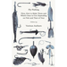 Fly Fishing - Flies; How to Make Them and Which Ones to Use Depending on Fish and Time of Year