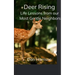 Deer Rising Life Lessons from our Most Gentle Neighbors