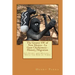 The Greater SW of New Mexico- La Gran Chichimeca- History/Migration: It's Story and History- Unto the End of Times