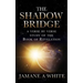 The Shadow Bridge: A verse by verse study of the Book of Revelation