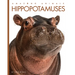 Hippopotamuses