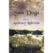 Sun Dogs