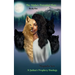 The Alpha's Potential Mate Book One