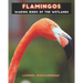 Flamingos: Wading birds of the wetlands
