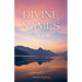 Divine Names: Harness the Power of Allah's 99 Names for Success in Work and Life