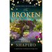 The Broken: A Completely Heart-Wrenching Historical Page-Turner