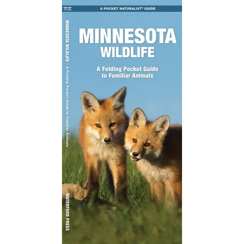 Minnesota Wildlife: A Folding Pocket Guide to Familiar Animals