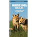 Minnesota Wildlife: A Folding Pocket Guide to Familiar Animals