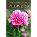 The Picture Book of Flowers: A Gift Book for Alzheimer's Patients and Seniors with Dementia