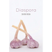 Diaspora