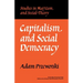 Capitalism and Social Democracy