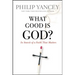 What Good Is God?: In Search of a Faith That Matters