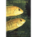 The Cichlid Fishes: Nature's Grand Experiment in Evolution