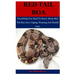 Red Tail Boa: Everything You Need To Know About Red Tail Boa, Care, Housing, Caging And Health Care