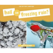 Hail or Freezing Rain?