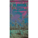 Florida Trees & Wildflowers: A Folding Pocket Guide to Familiar Plants