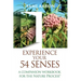 Experience Your 54 Senses: A Companion Workbook For The Nature Process(R)
