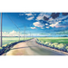 A Sky Longing for Memories: The Art of Makoto Shinkai