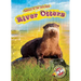 River Otters