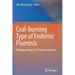 Coal-Burning Type of Endemic Fluorosis: Pathophysiology and Clinical Treatments
