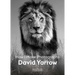 David Yarrow: How I Make Photographs