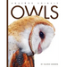 Owls