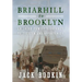 Briarhill to Brooklyn: An Irish Family's Journey to Freedom and Opportunity