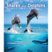 Sharks and Dolphins: A Compare and Contrast Book