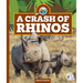 A Crash of Rhinos
