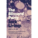 The Blizzard Party