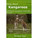 Know About Kangaroos: Amazing & Interesting Facts with Pictures: Never Known Before Kangaroo Facts