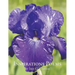 Inspirations Poems by Iris G. Carter