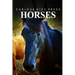 Horse - Curious Kids Press