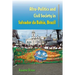 Afro-Politics and Civil Society in Salvador Da Bahia, Brazil