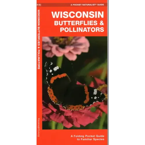 Wisconsin Butterflies & Pollinators: A Folding Pocket Guide to Familiar Species