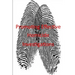 Promoting Effective Homicide Investigations