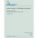 Carbon Capture: A Technology Assessment