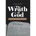 1,260 Days: the Wrath of God: A Layperson's Perspective of Revelation