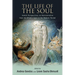 The Life of the Soul: Jewish Perspectives on Reincarnation from the Middle Ages to the Modern Period