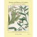 Botany and History of Comfrey; Garden Uses of Comfrey